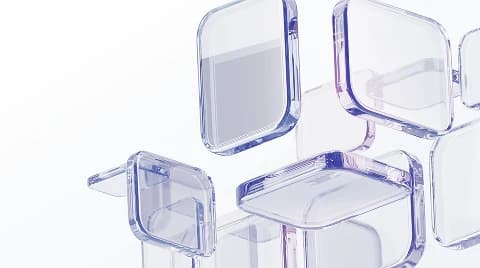 대규모 경제 범죄 및 사기